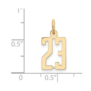 14k Yellow Gold Small Polished Elongated 23 Charm