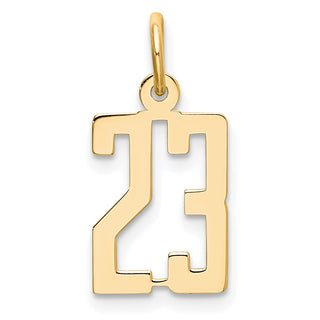 14k Yellow Gold Small Polished Elongated 23 Charm