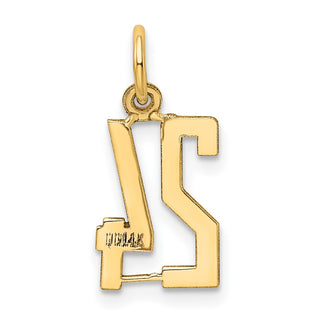 14k Yellow Gold Small Polished Elongated 24 Charm