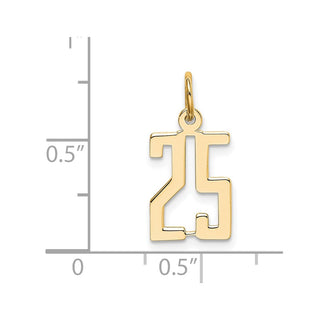 14k Yellow Gold Small Polished Elongated 25 Charm