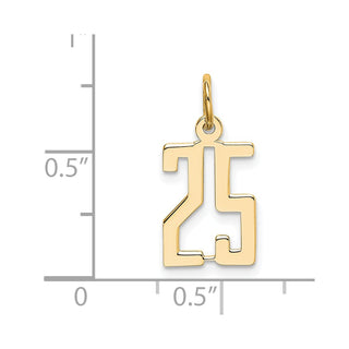 14k Yellow Gold Small Polished Elongated 25 Charm