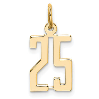 14k Yellow Gold Small Polished Elongated 25 Charm