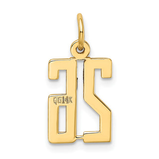 14k Yellow Gold Small Polished Elongated 26 Charm