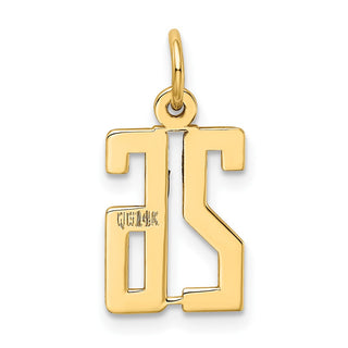 14k Yellow Gold Small Polished Elongated 26 Charm