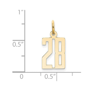 14k Yellow Gold Small Polished Elongated 28 Charm