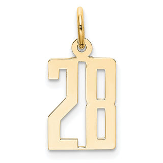 14k Yellow Gold Small Polished Elongated 28 Charm