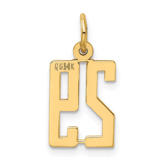 14k Yellow Gold Small Polished Elongated 29 Charm