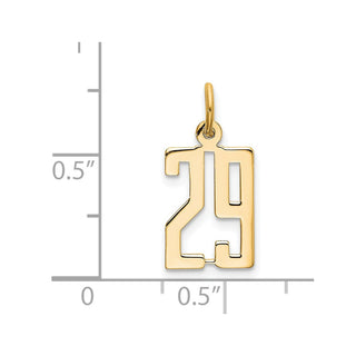 14k Yellow Gold Small Polished Elongated 29 Charm