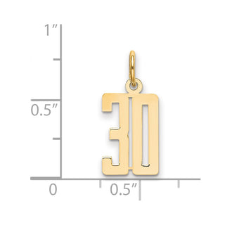 14k Yellow Gold Small Polished Elongated 30 Charm