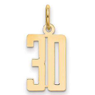 14k Yellow Gold Small Polished Elongated 30 Charm