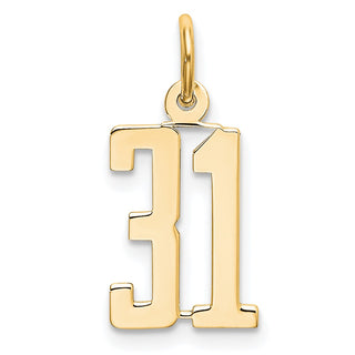 14k Yellow Gold Small Polished Elongated 31 Charm