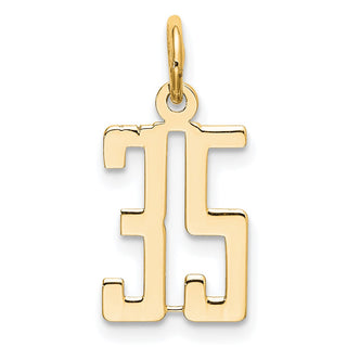 14k Yellow Gold Small Polished Elongated 35 Charm