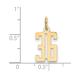 14k Yellow Gold Small Polished Elongated 36 Charm