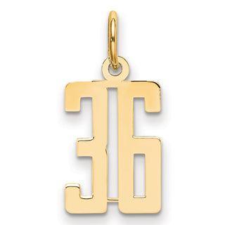 14k Yellow Gold Small Polished Elongated 36 Charm
