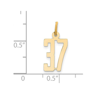 14k Yellow Gold Small Polished Elongated 37 Charm