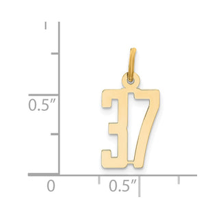 14k Yellow Gold Small Polished Elongated 37 Charm