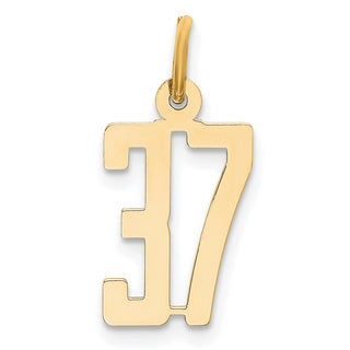 14k Yellow Gold Small Polished Elongated 37 Charm