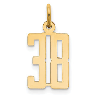 14k Yellow Gold Small Polished Elongated 38 Charm