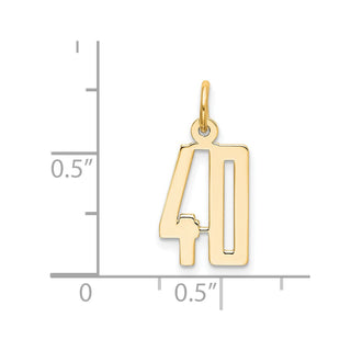 14k Yellow Gold Small Polished Elongated 40 Charm