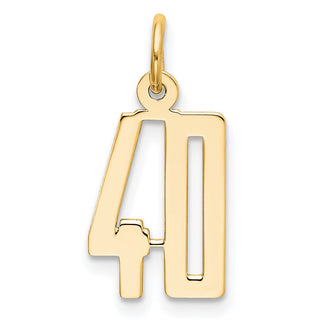 14k Yellow Gold Small Polished Elongated 40 Charm