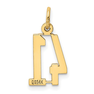 14k Yellow Gold Small Polished Elongated 41 Charm