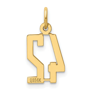 14k Yellow Gold Small Polished Elongated 42 Charm