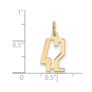 14k Yellow Gold Small Polished Elongated 42 Charm
