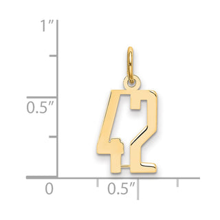 14k Yellow Gold Small Polished Elongated 42 Charm