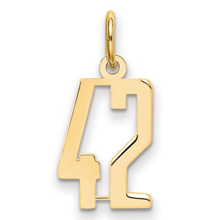 14k Yellow Gold Small Polished Elongated 42 Charm