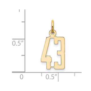 14k Yellow Gold Small Polished Elongated 43 Charm