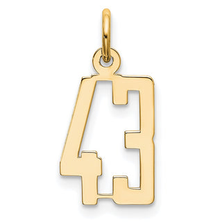 14k Yellow Gold Small Polished Elongated 43 Charm