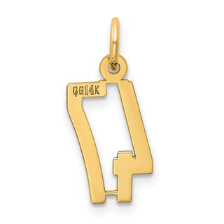 14k Yellow Gold Small Polished Elongated 47 Charm