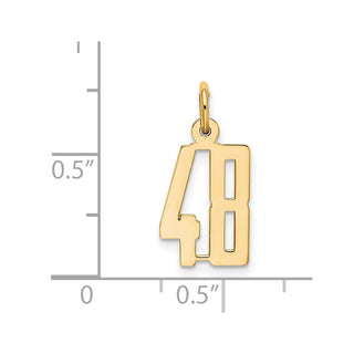 14k Yellow Gold Small Polished Elongated 48 Charm