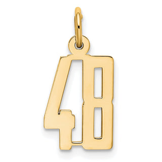 14k Yellow Gold Small Polished Elongated 48 Charm