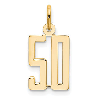 14k Yellow Gold Small Polished Elongated 50 Charm