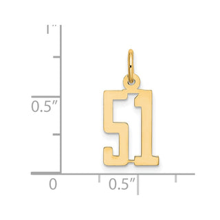 14k Yellow Gold Small Polished Elongated 51 Charm