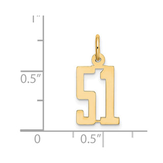 14k Yellow Gold Small Polished Elongated 51 Charm
