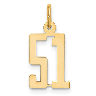 14k Yellow Gold Small Polished Elongated 51 Charm