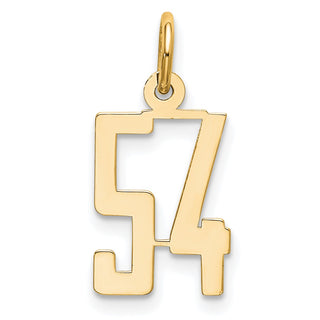 14k Yellow Gold Small Polished Elongated 54 Charm