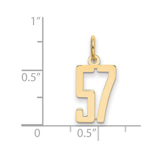 14k Yellow Gold Small Polished Elongated 57 Charm