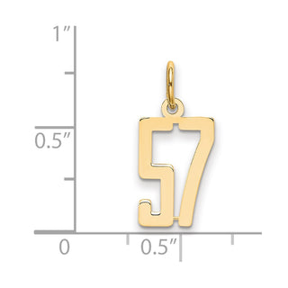 14k Yellow Gold Small Polished Elongated 57 Charm