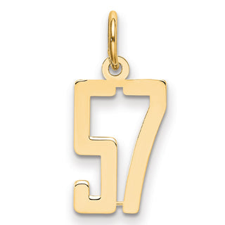 14k Yellow Gold Small Polished Elongated 57 Charm