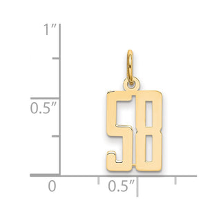 14k Yellow Gold Small Polished Elongated 58 Charm