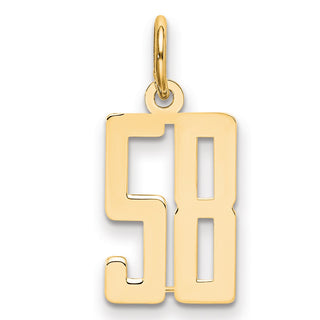 14k Yellow Gold Small Polished Elongated 58 Charm