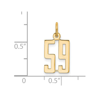 14k Yellow Gold Small Polished Elongated 59 Charm