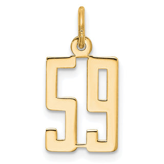 14k Yellow Gold Small Polished Elongated 59 Charm