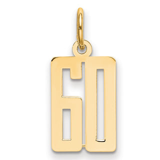 14k Yellow Gold Small Polished Elongated 60 Charm
