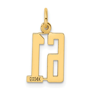 14k Yellow Gold Small Polished Elongated 61 Charm
