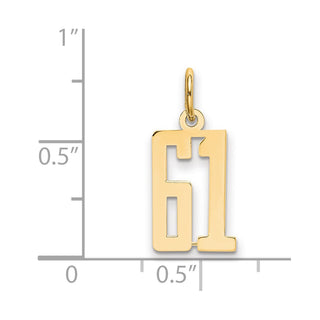 14k Yellow Gold Small Polished Elongated 61 Charm