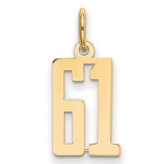 14k Yellow Gold Small Polished Elongated 61 Charm